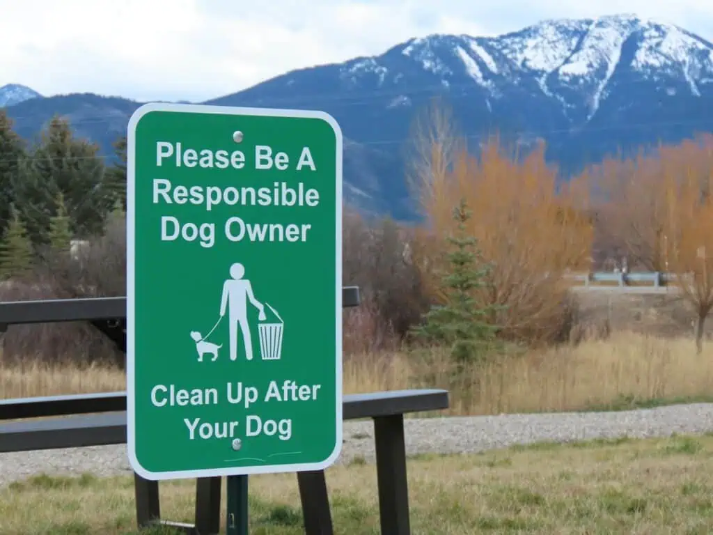 Mistake many expats make in Germany is not picking their dog's poop.