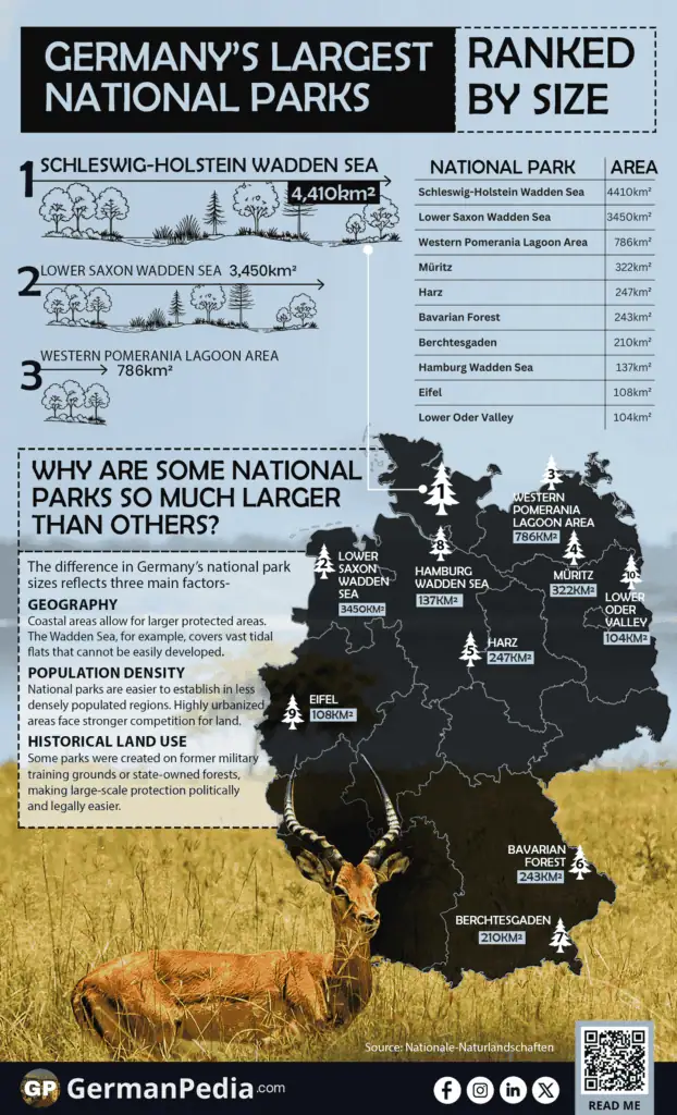 19242_Germany’s Largest National Parks, Ranked by Size