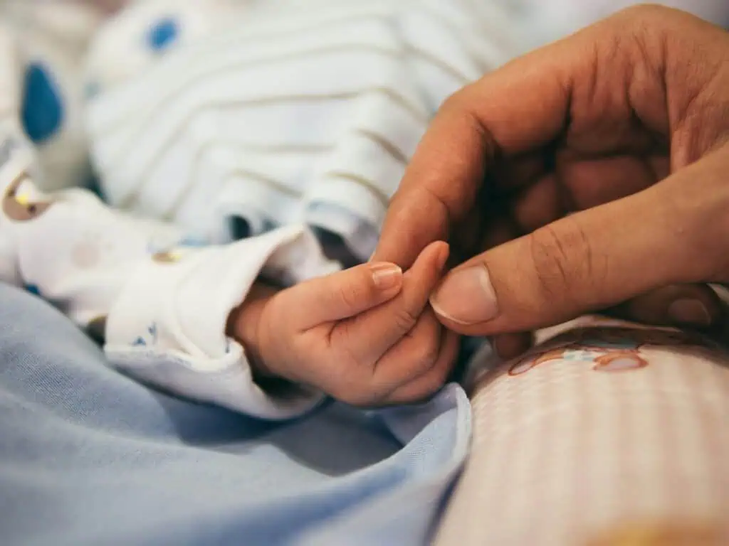 Births Are Concentrated in a Few German States