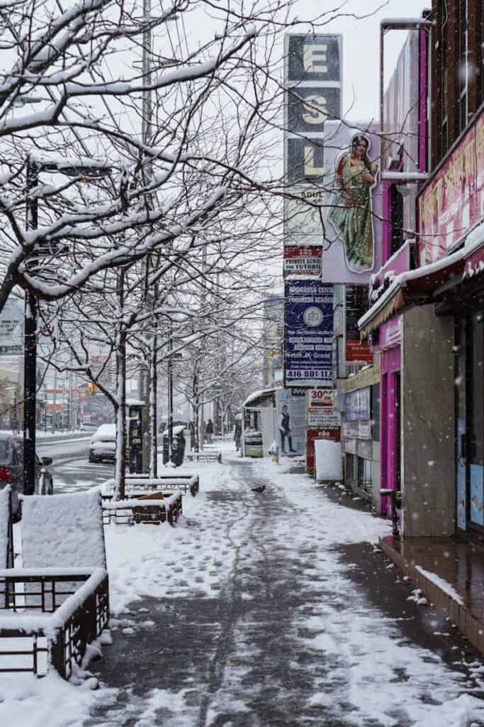 a snowy street lined with buildings and trees