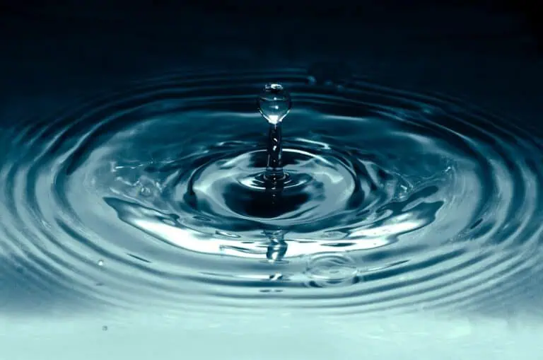 Water Stress Is Declining in Most EU Countries
