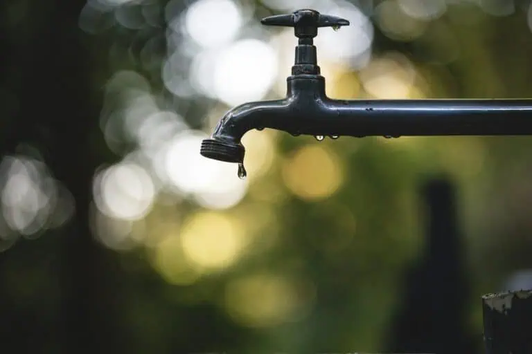 EU Self-Supplied Water Use by Economic Sector