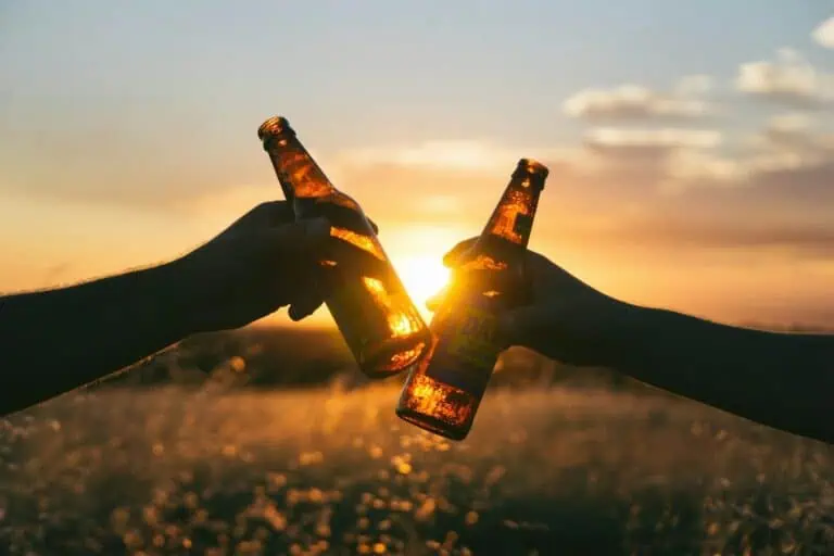 Which German State Sells the Most Beer?