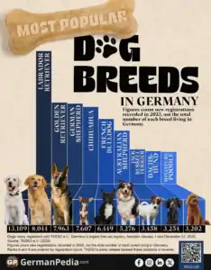Most Popular Dog Breeds in Germany