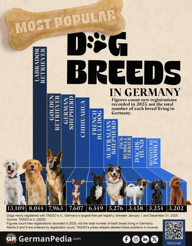 Most Popular Dog Breeds in Germany