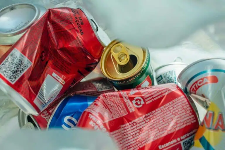 Which EU Country Recycles the Most?