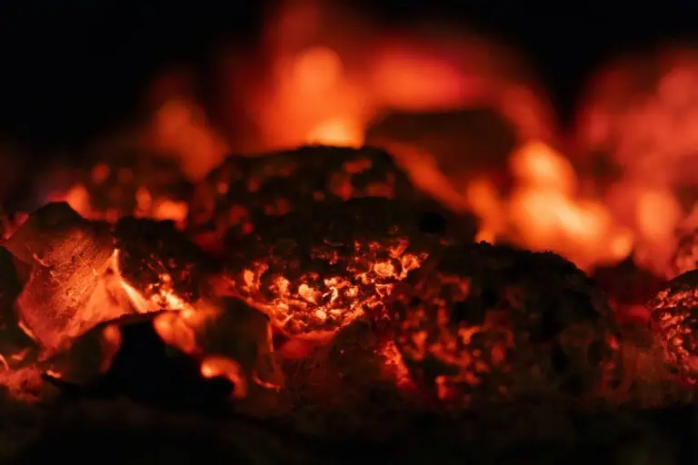 Which EU Country Has the Highest Coal Consumption?