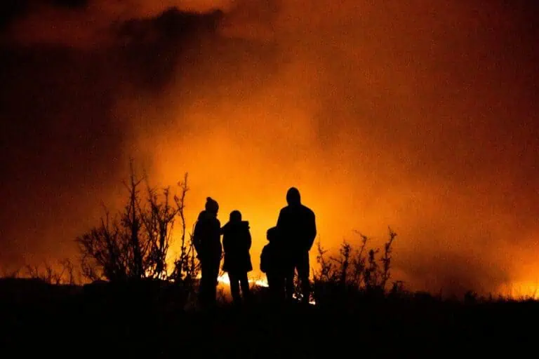 Which EU Country Loses the Most Land to Wildfires?